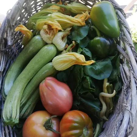 Azienda Agrituristica Cascina La Botta Agroturismo *