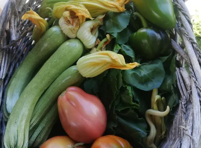 Azienda Agrituristica Cascina La Botta 팜스테이 *
